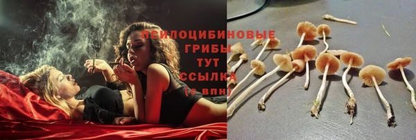 spice Семикаракорск