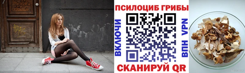 где купить   Жирновск  Псилоцибиновые грибы Cubensis 