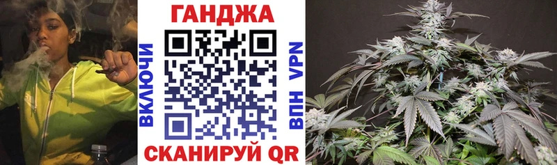 kraken   Жирновск  Шишки марихуана сатива 